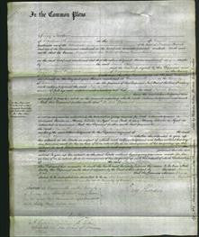 Court of Common Pleas - Maria Olive Hunt-Original Ancestry