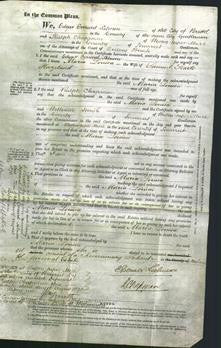 Court of Common Pleas - Maria Louisa Hazeland-Original Ancestry