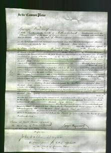 Court of Common Pleas - Jane Green-Original Ancestry