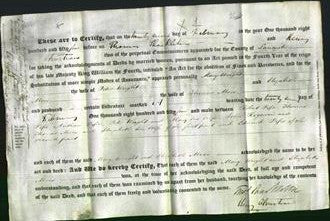 Deed by Married Women - Mary Wright and Elizabeth Moss-Original Ancestry
