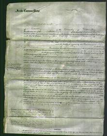 Court of Common Pleas - Mary Cartwright-Original Ancestry