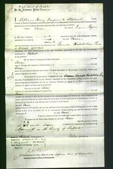 Court of Common Pleas - Susan Payne-Original Ancestry