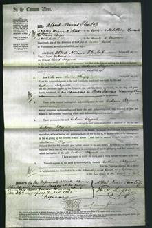 Court of Common Pleas - Catharine Fitzgerald-Original Ancestry