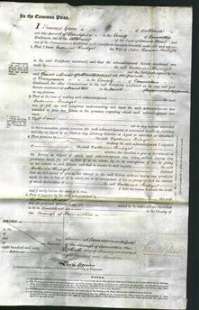 Court of Common Pleas - Catherine Bridget Phillips-Original Ancestry