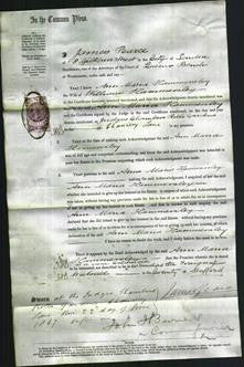 Court of Common Pleas - Ann Maria Hammersley-Original Ancestry