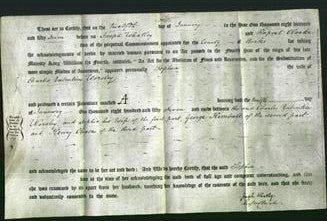 Deed by Married Women - Sophia Worsley-Original Ancestry