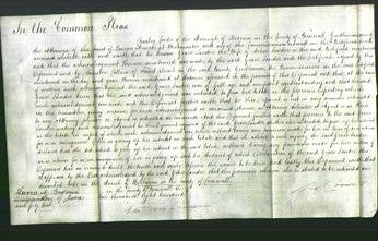 Court of Common Pleas - Grace Lander-Original Ancestry