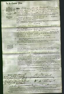 Court of Common Pleas - Katherine Mary Boyd-Original Ancestry