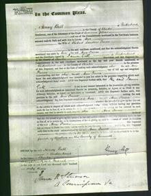 Court of Common Pleas - Ann Prowse-Original Ancestry