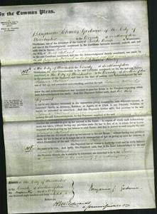 Court of Common Pleas - Susanna Holland-Original Ancestry