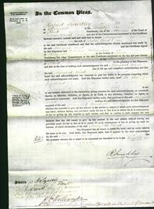 Court of Common Pleas - Margaret Wood-Original Ancestry