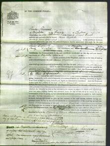 Court of Common Pleas - Anna Elizabeth Gainsford-Original Ancestry