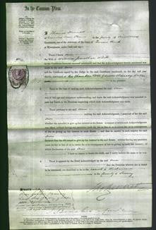 Court of Common Pleas - Ann White-Original Ancestry