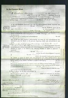 Court of Common Pleas - Harriet Bitten-Original Ancestry