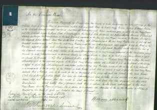 Court of Common Pleas - Mary Parsons-Original Ancestry