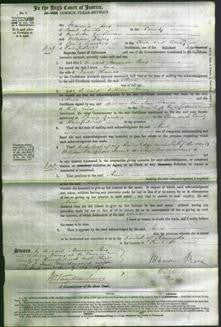 Court of Common Pleas - Anne Thomas-Original Ancestry