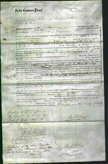 Court of Common Pleas - Emma Rowley-Original Ancestry