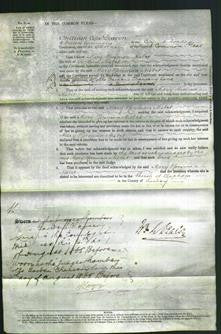 Court of Common Pleas - Mary Horsman Nisbet-Original Ancestry