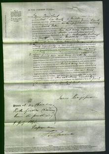 Court of Common Pleas - Ann Marsh and Mary Puttee-Original Ancestry