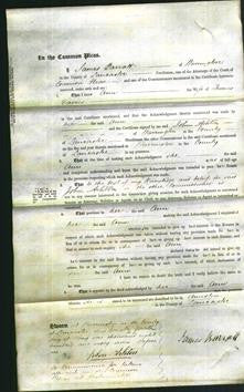 Court of Common Pleas - Ann Davies-Original Ancestry