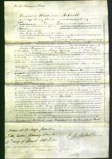 Court of Common Pleas - Charlotte Walker-Original Ancestry