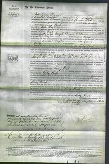 Court of Common Pleas - Lucy Pugh-Original Ancestry