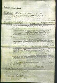 Court of Common Pleas - Mary Ann Pratt-Original Ancestry
