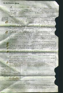 Court of Common Pleas - Albinia Mary Lyon-Original Ancestry