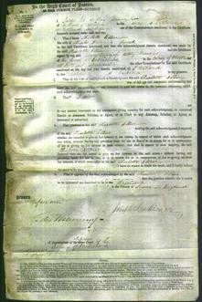 Court of Common Pleas - Charlotte Ellen Crouch-Original Ancestry