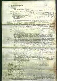 Court of Common Pleas - Ellen Watling-Original Ancestry