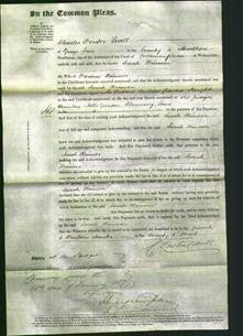 Court of Common Pleas - Sarah Haeusser-Original Ancestry