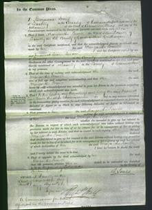 Court of Common Pleas - Margaretta Powell-Original Ancestry