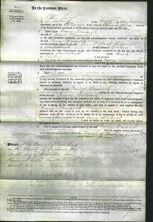 Court of Common Pleas - Fanny Broderick-Original Ancestry