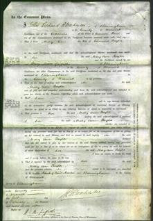 Court of Common Pleas - Mary Ann Taylor-Original Ancestry