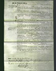 Court of Common Pleas - Elizabeth Reynolds Collard-Original Ancestry
