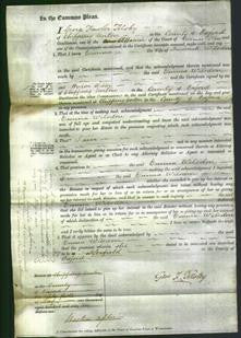 Court of Common Pleas - Emma Wilsden-Original Ancestry