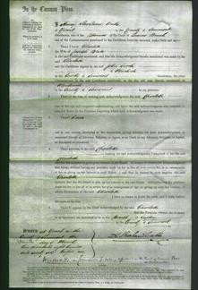 Court of Common Pleas - Charlotte Blake-Original Ancestry