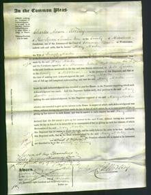 Court of Common Pleas - Mary Marter-Original Ancestry