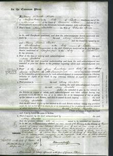 Court of Common Pleas - Mary Isabella Spicer-Original Ancestry