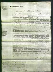 Court of Common Pleas - Ann Palethorpe-Original Ancestry