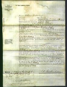 Court of Common Pleas - Jane Hicking-Original Ancestry
