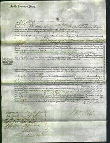 Court of Common Pleas - Eliza Graburn-Original Ancestry