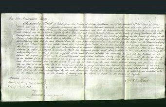 Court of Common Pleas - Harriet Felton-Original Ancestry