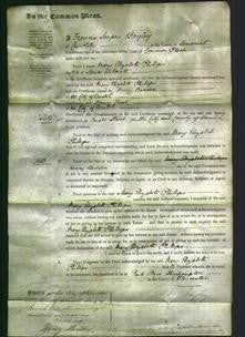 Court of Common Pleas - Mary Elizabeth Phillips Wilmott-Original Ancestry