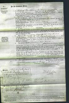 Court of Common Pleas - Caroline Kate Dawkins-Original Ancestry