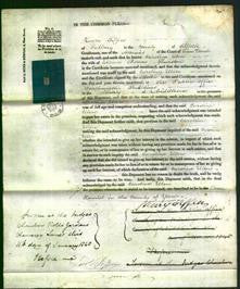 Court of Common Pleas - Caroline Ellen Thurston-Original Ancestry