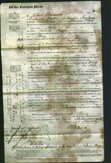Court of Common Pleas - Mary Hughes-Original Ancestry