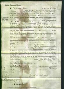 Court of Common Pleas - Sally Grace Green-Original Ancestry