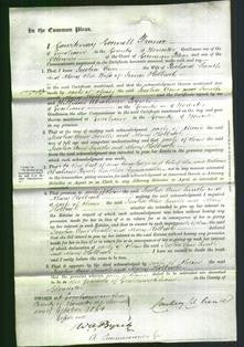 Court of Common Pleas - Jecolia Anna Smith and Mary Holbrook-Original Ancestry