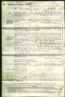 Court of Common Pleas - Mary Jane Roberts-Original Ancestry